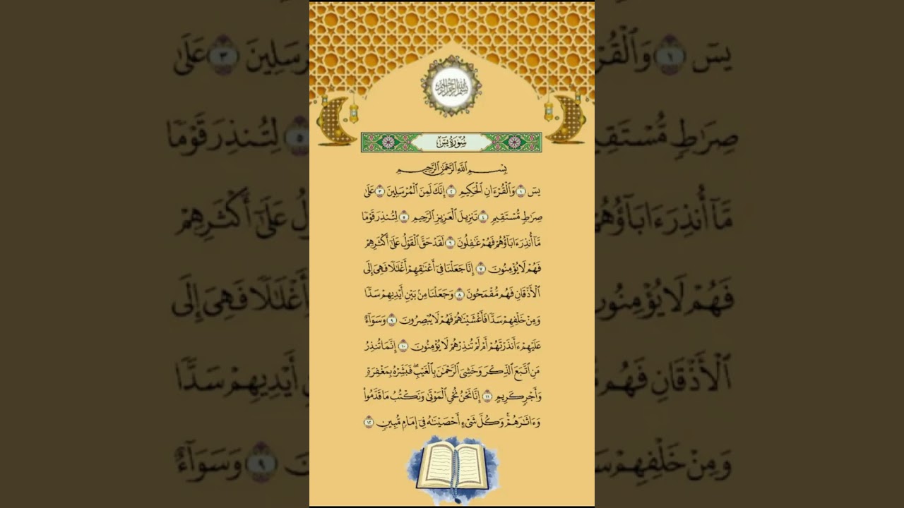 Recitation of Quran I تلاوة القرآن الكريم I Kuran'ı Kerim Tilaveti #quran #quranrecitation #kuran