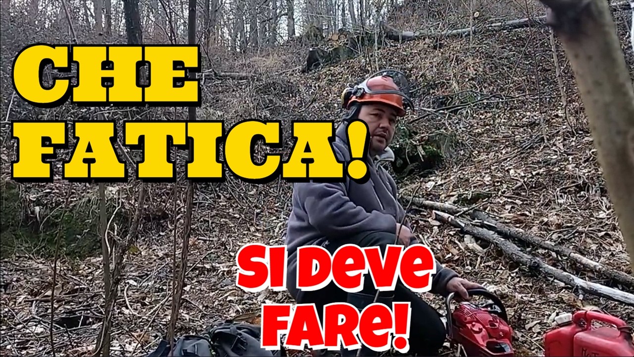 Dalla perlustrazione al 