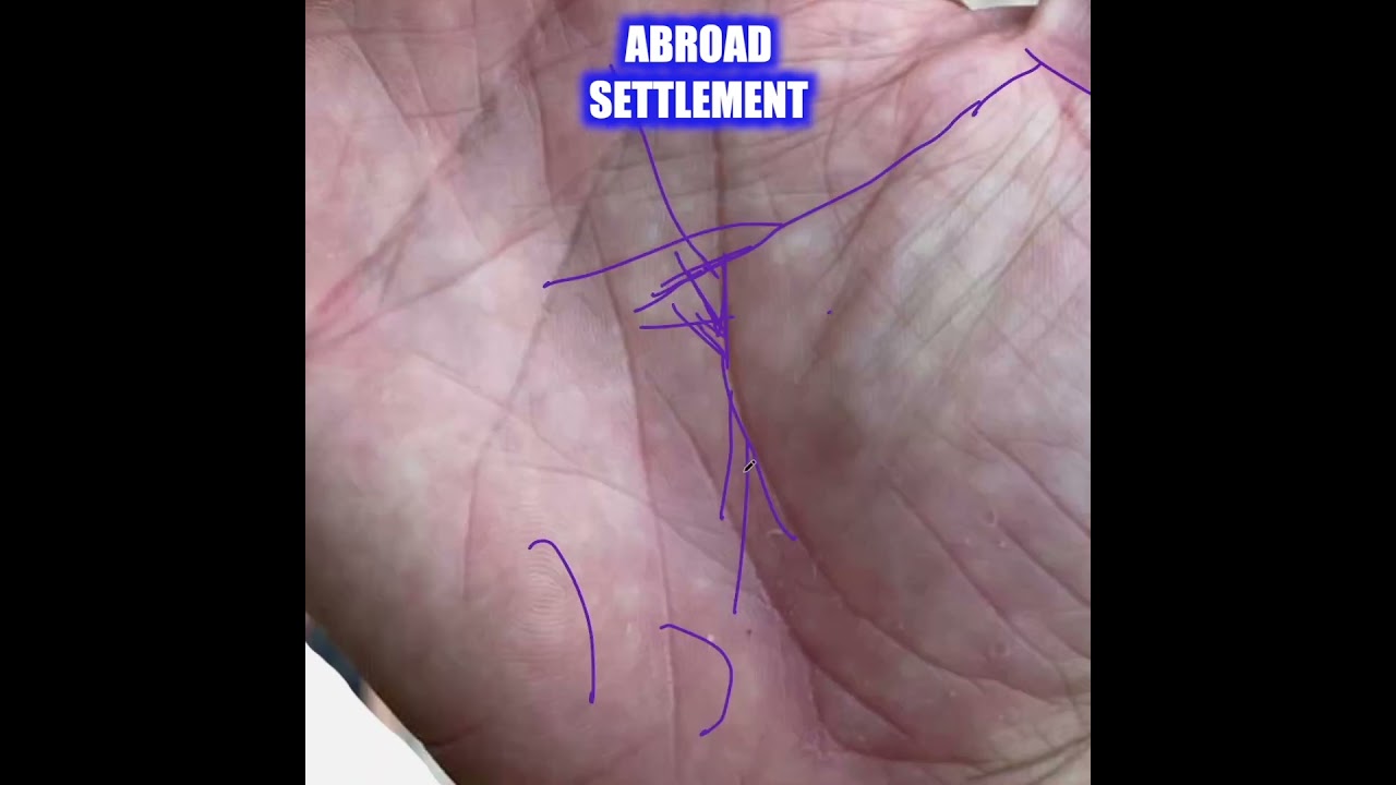 Foreign Migration and Abroad Settlement in Your Palm - Visa Approved
