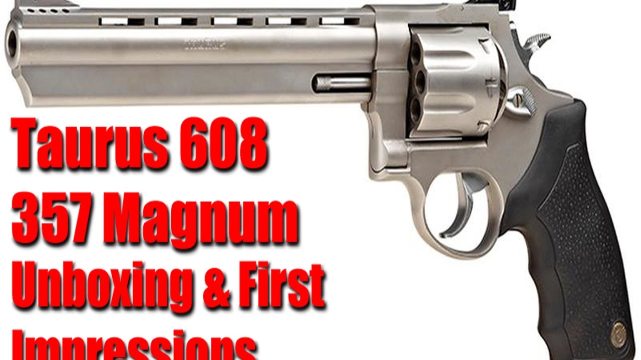 Taurus 608 6