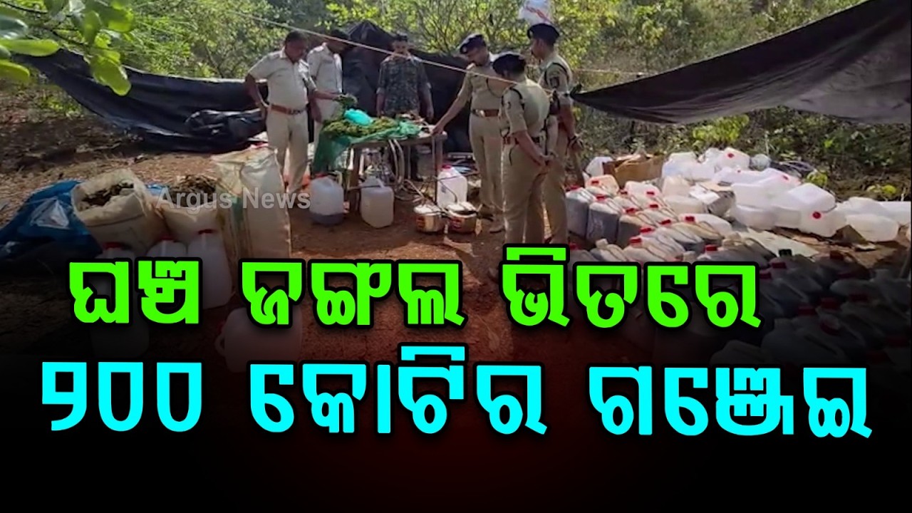 ୨୦୦କୋଟି ଗଞ୍ଜେଇ ତେଲ ଜବତ | Ganja Oil Seized in Koraput, Valued Around ₹200 Crore