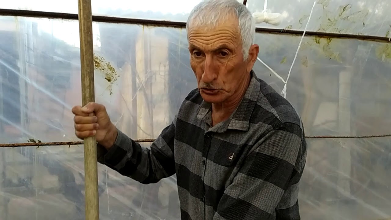 Peyin horrası (jija)  bütün bitgilər üçün vacib qidadir