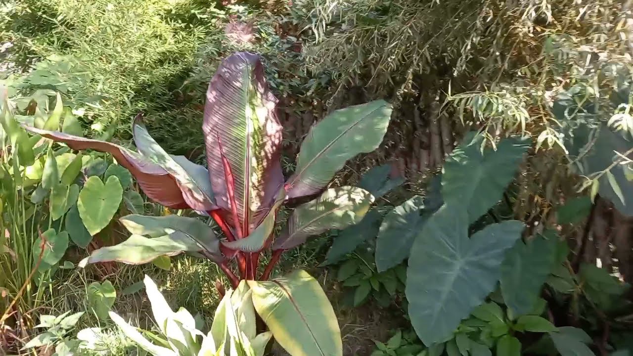 1er octobre le jardin se vide petit à petit