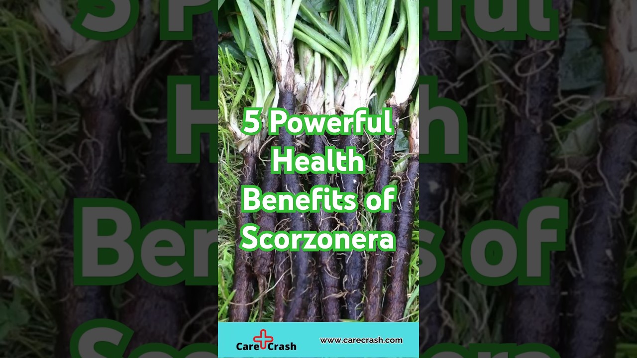 5 Powerful Health Benefits of Scorzonera for Strong Bones | #carecrash