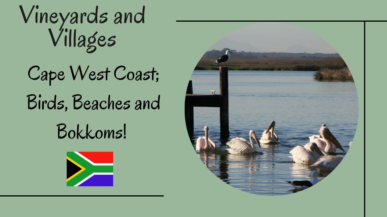 Birds, Beaches and Bokkoms; The Cape West Coast