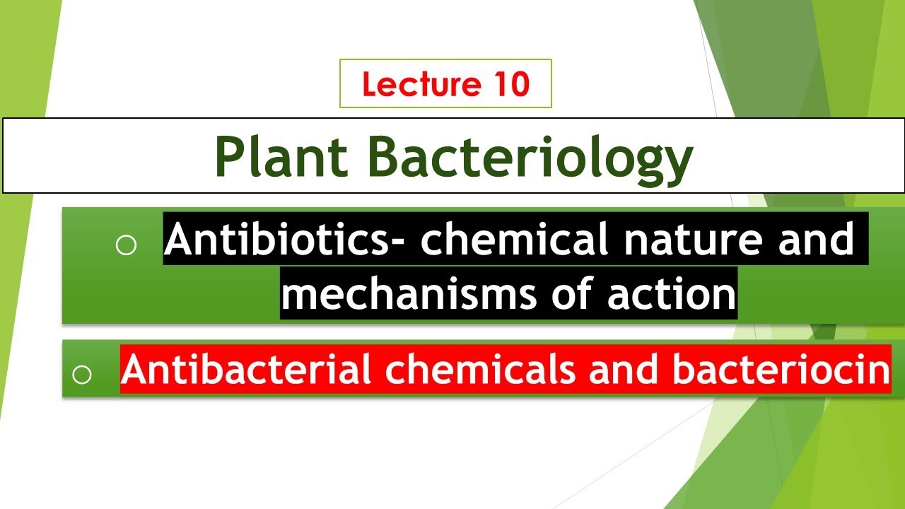 Procaryotic inhibitors antibiotics │Chemicals │Bacteriocin │Sources & chemical classes