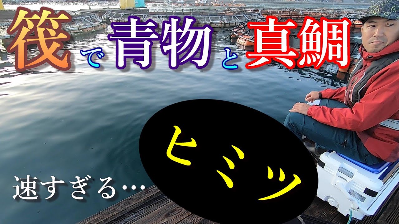 【かかり釣り】筏で青物と真鯛を狙う【昌盛丸】