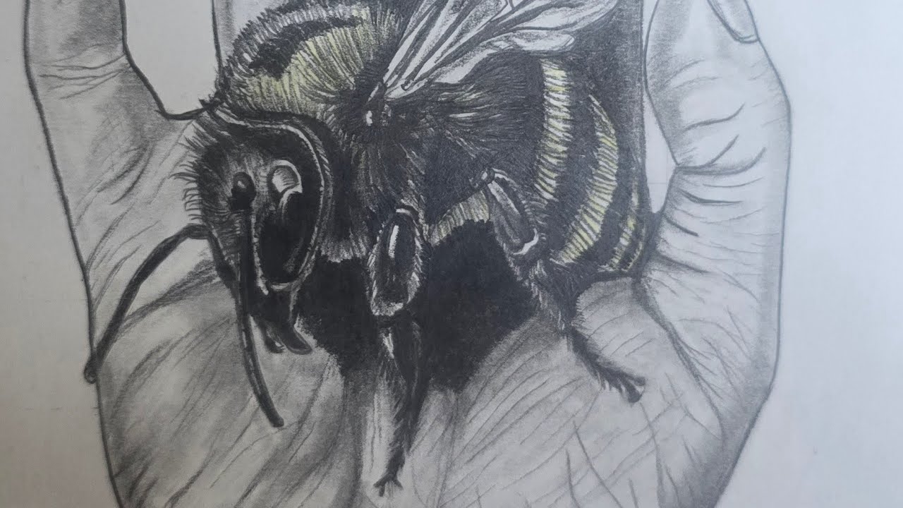 Charcoal hand drawing #trending # live 