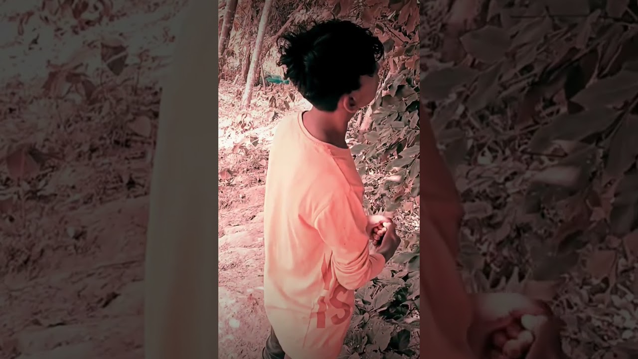 Rekibul copy by Papon song ziaur