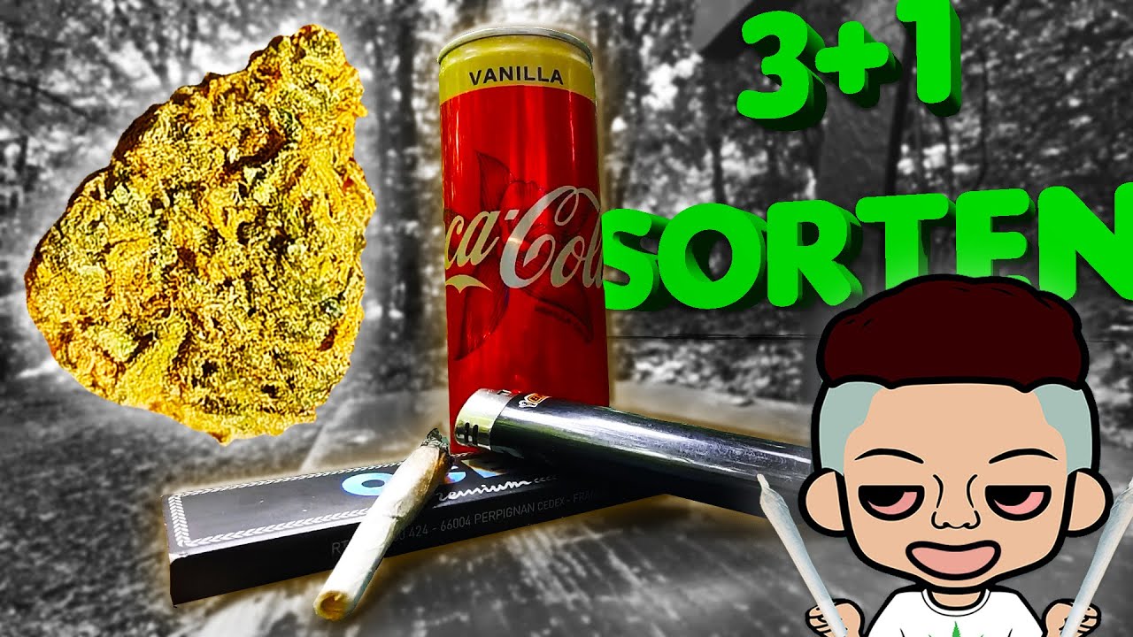 🥦ARNHEIM GRAS TESTING & im WALD VERLAUFEN |  WeedVlog #2🎥