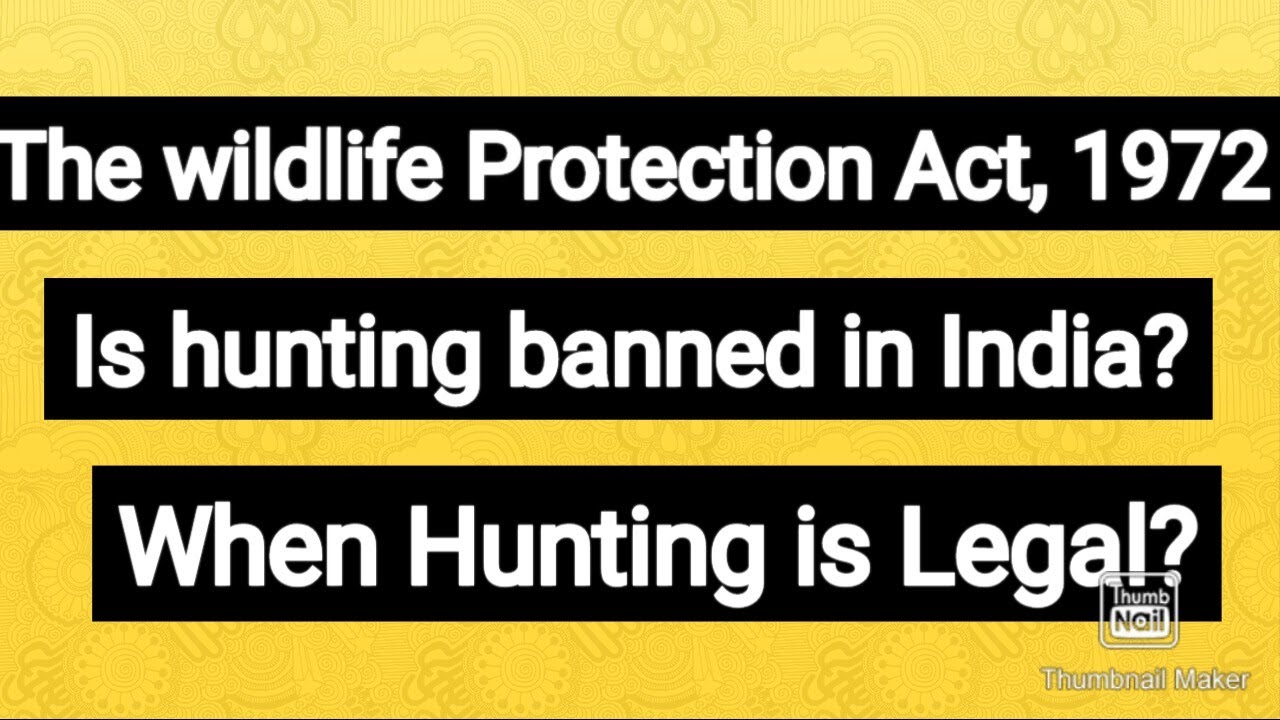 The wildlife ( Protection)Act, 1972, #hunting of wild animals , #lawselawyertak #Advocateasmita