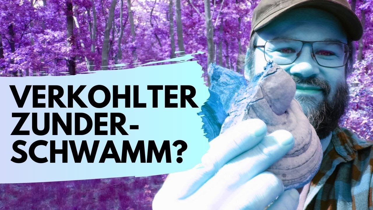 Verkohlter Zunderschwamm / Zunderpilz – testen und herstellen – Bushcraft / Survival / Outdoor