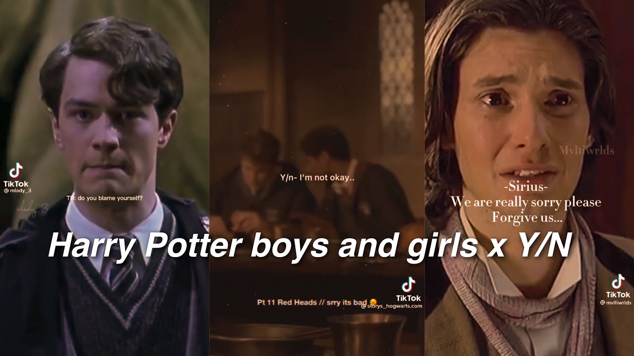 Harry Potter boys and girls x Y/N TikTok POVs