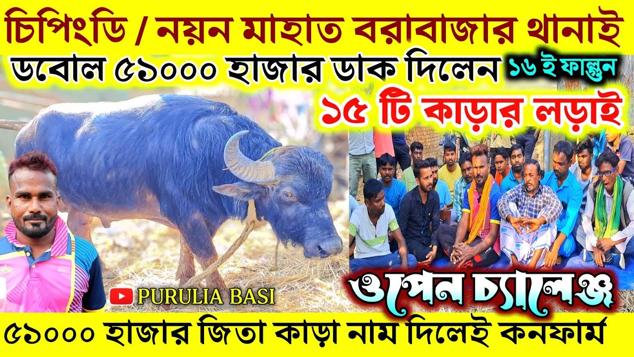 চিপিংডি/নয়ন মাহাত ডবোল ৫১০০০ ডাক দিলেন - ৫১ হাজার জিতা কাড়া নাম দিলেই কনফার্ম 