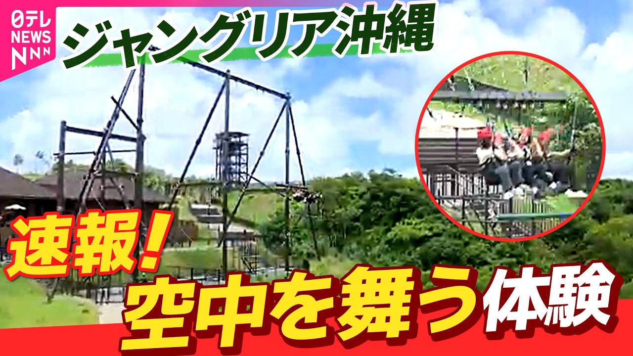 速報！ジャングリア沖縄へ行ってみた　空を舞う！？巨大ブランコ