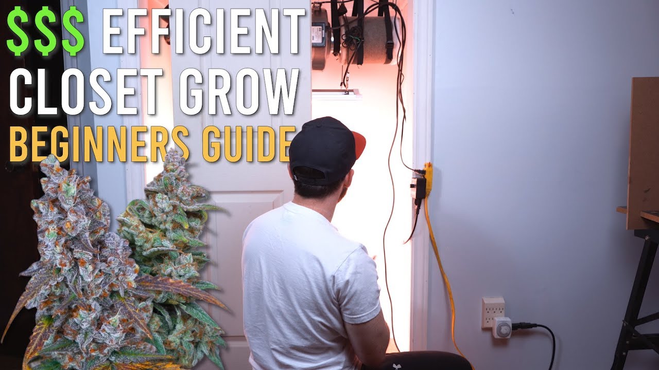 180W HALF POUND CLOSET GROW BUILD: BEGINNERS SET UP GUIDE