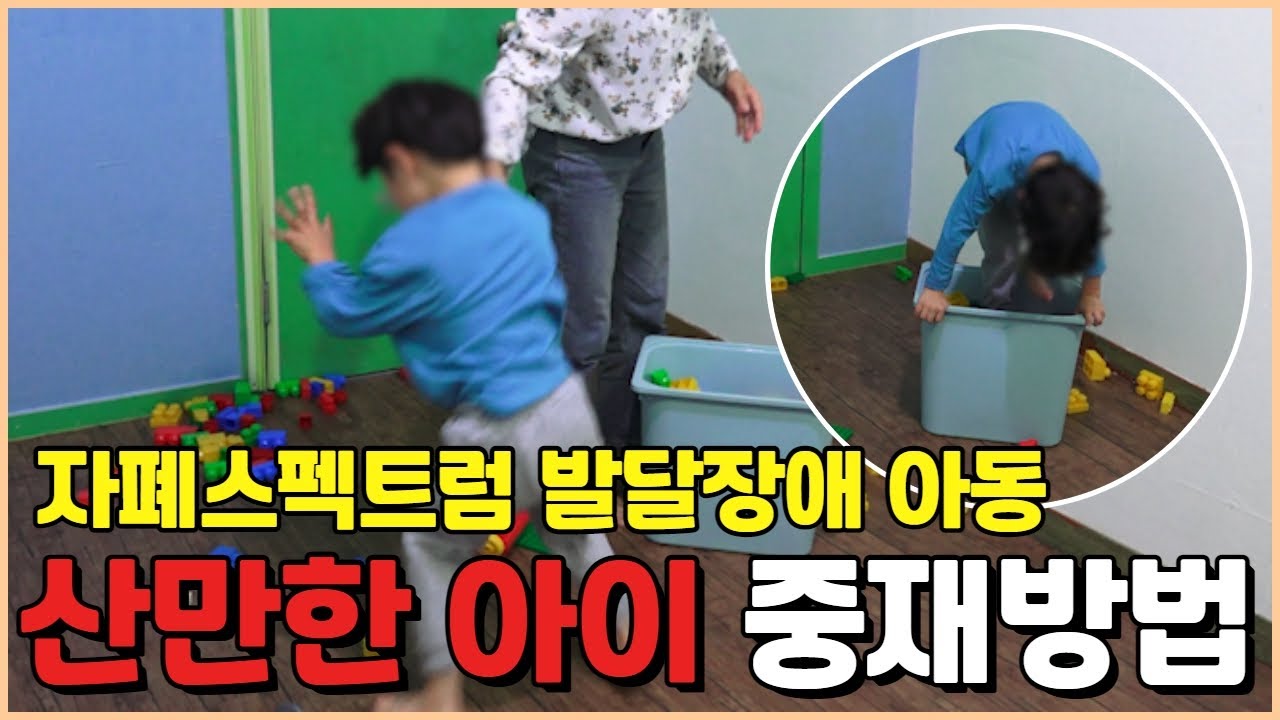 산만한 아이 중재방법/autism/자폐스펙트럼 발달장애 아동을 위한 뇌발달강의