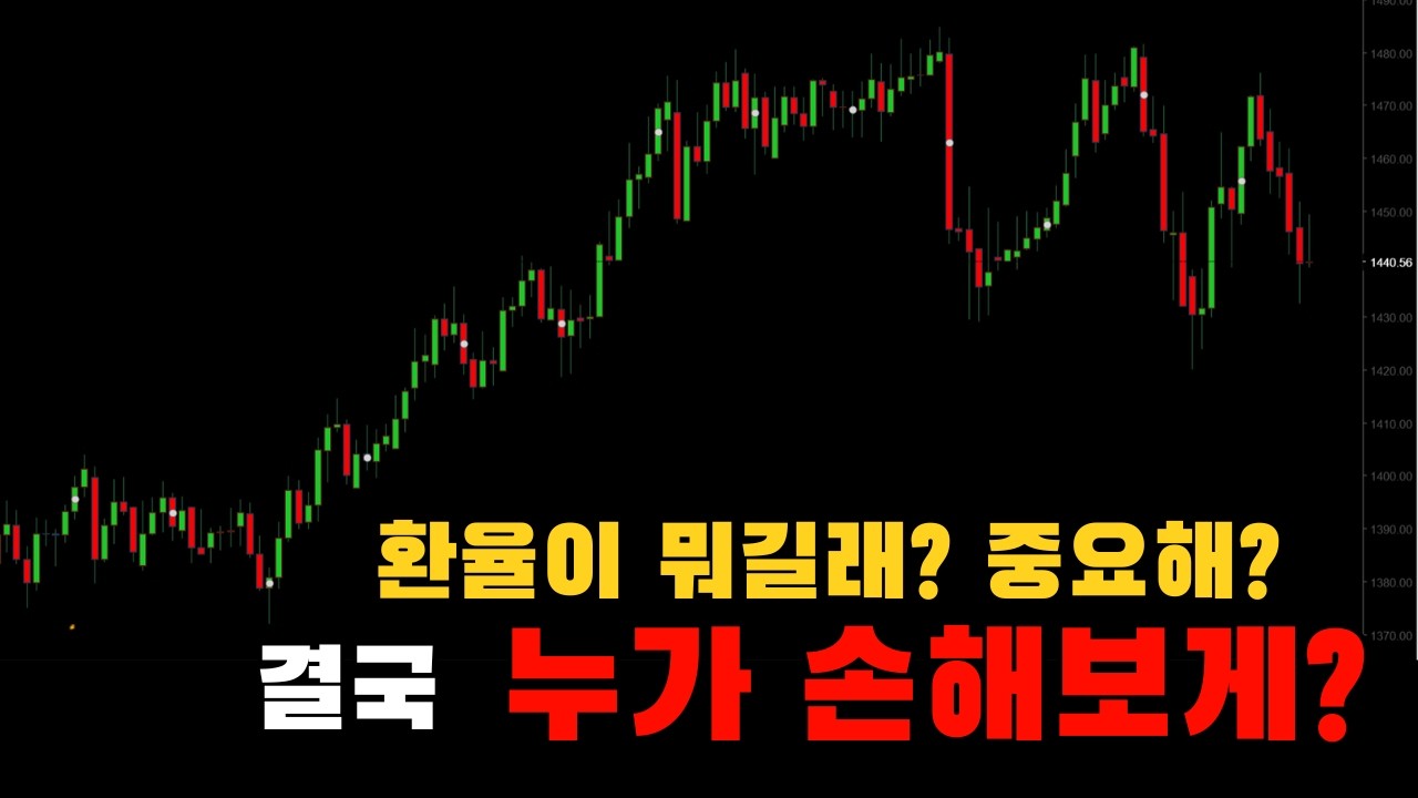 환율 아직도 모르면 손해는 여러분이 봅니다