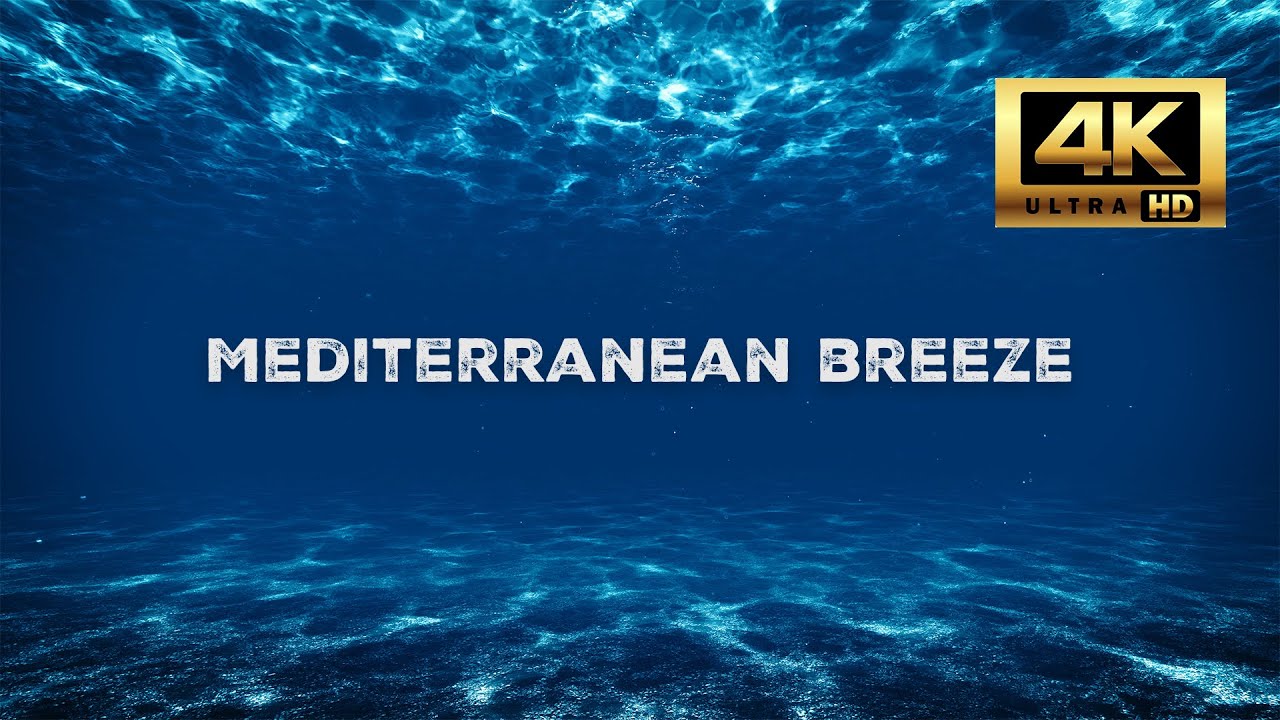 Underwater & Calm Music Ambience ⏐1 Hour⏐ 4K Night Mood Music