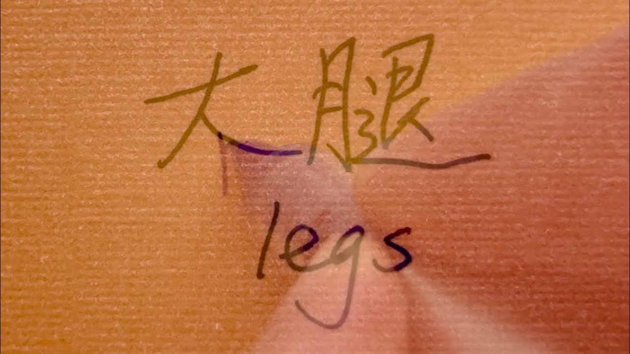 Cursive Chinese Handwriting Practice (1)