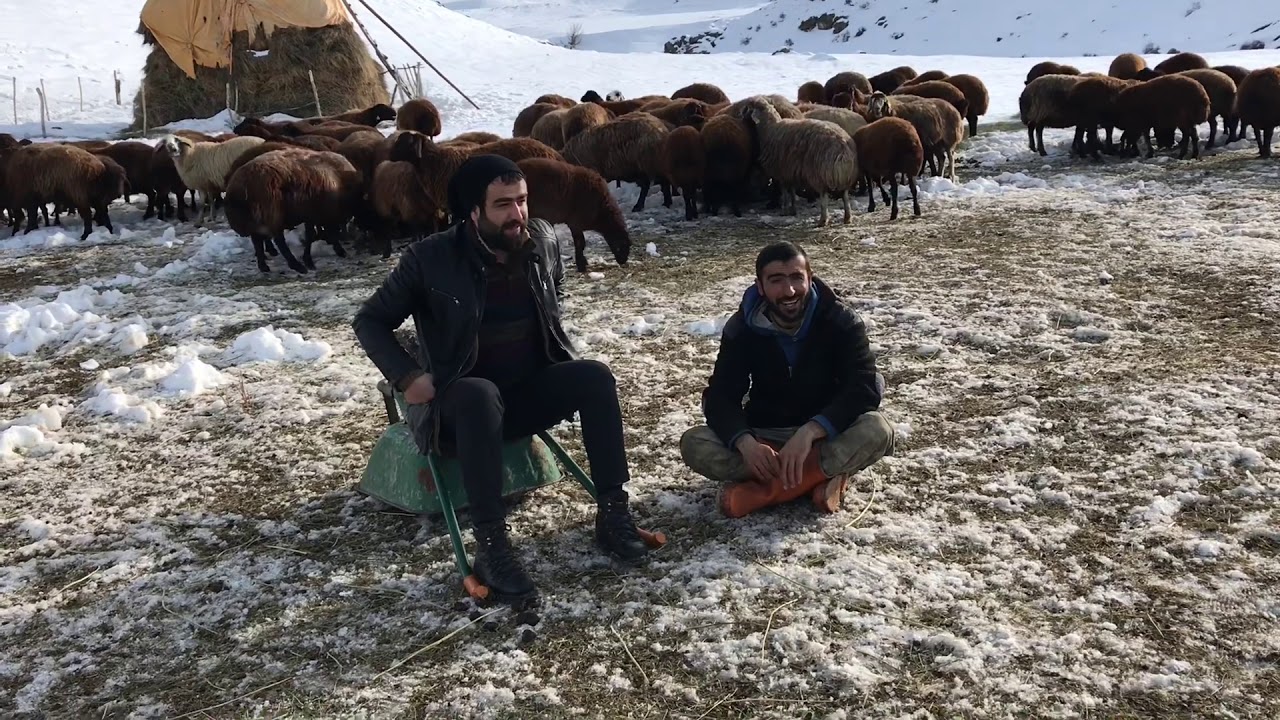 Were ge delo - Şefik İnce (Kürtçe) Hozan Aydın