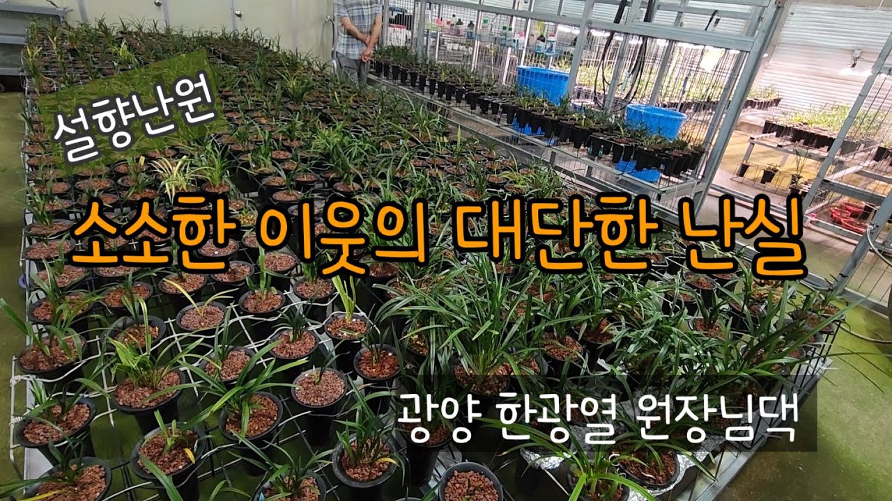 소소한 이웃의 대단한 난실 - 광양 한광열원장님댁