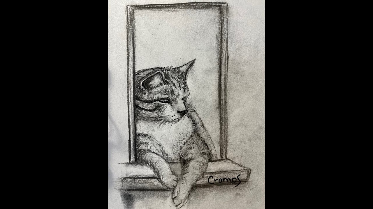 COMO  DIBUJAR UN GATO CON CARBONCILLO