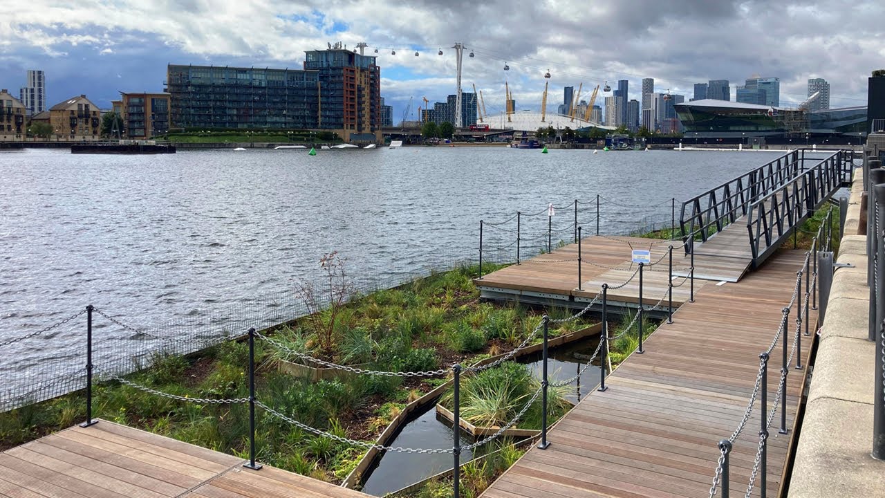 The Royal Docks Floating Ecosystems