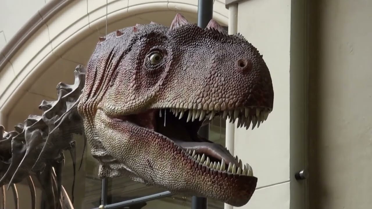 Le museum d'histoire naturelle de Berlin