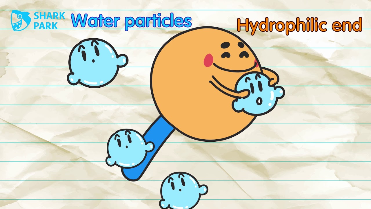 The process of bubble formation