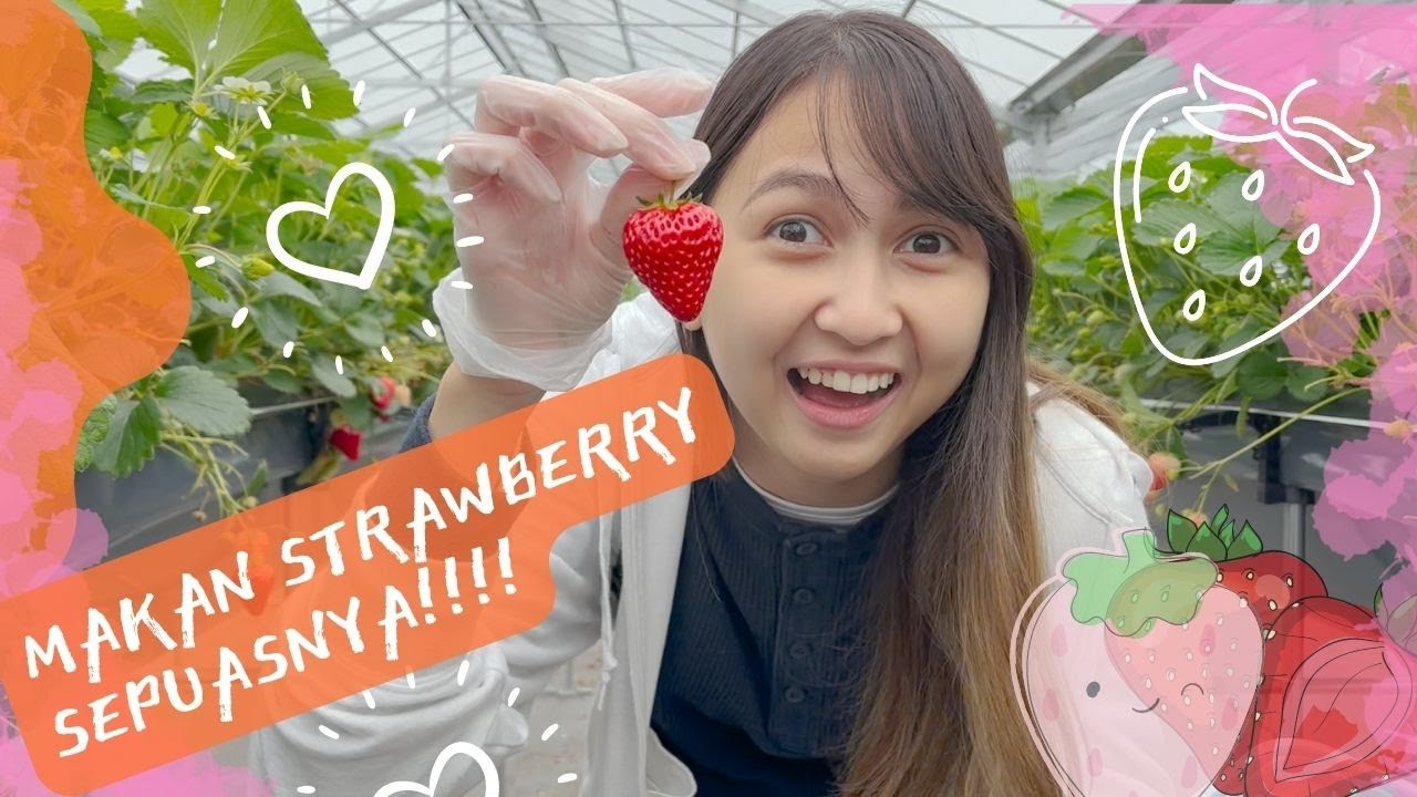 Strawberry Picking🍓 lanjut belanja di Outlet Jepang🛍