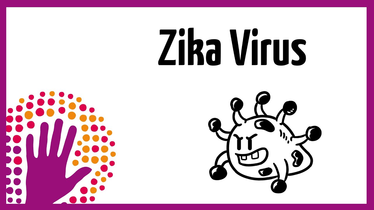 Zika Virus explained simply