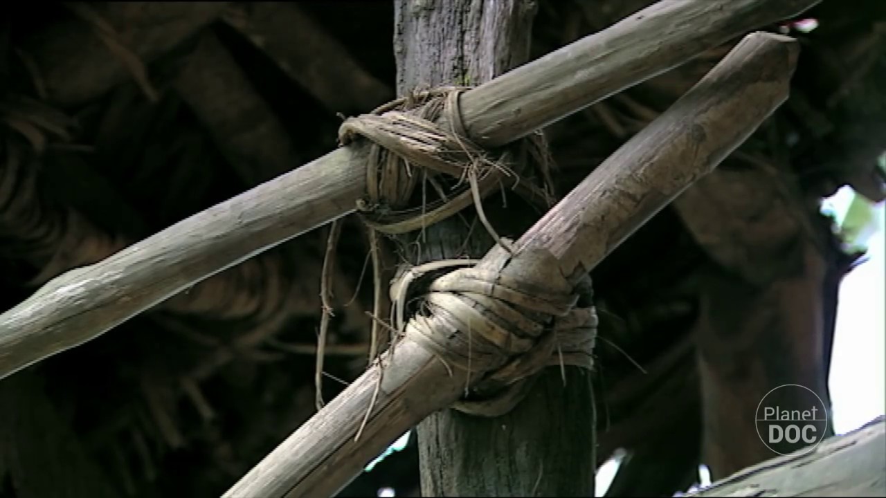 Documental Completo | Embajadores de la Selva - Planet Doc