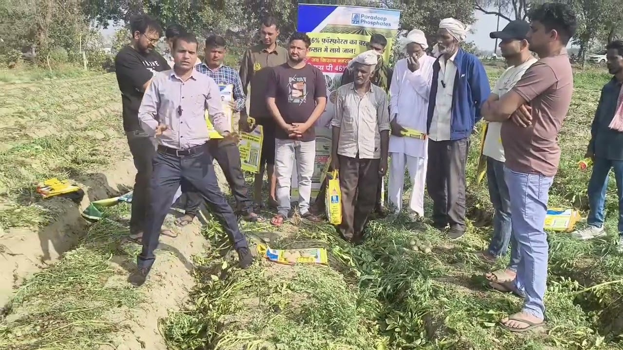 PPL TSP Result in Potato Crop in Mathura District.