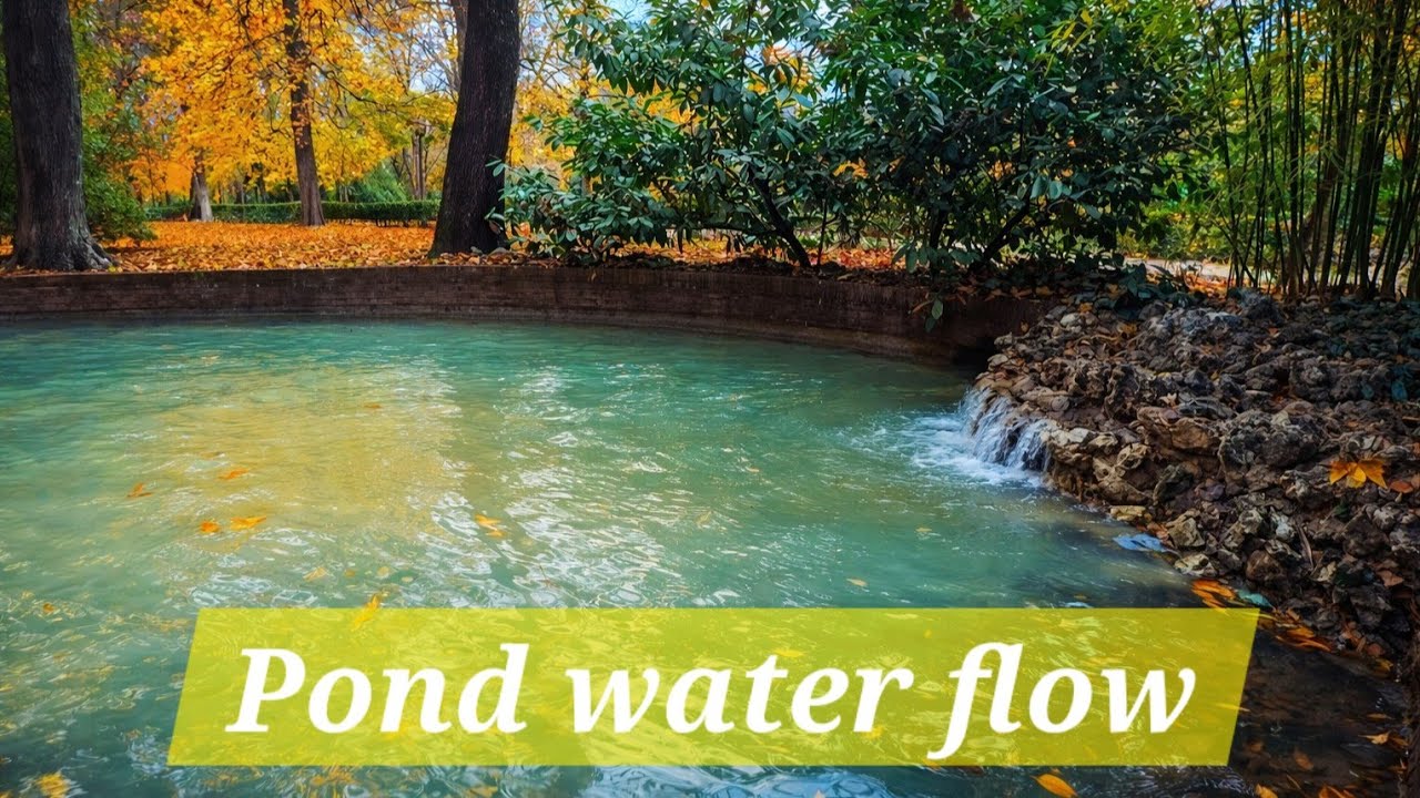 Corriente Tranquila – Agua fluyendo en calma (4K 60fps)