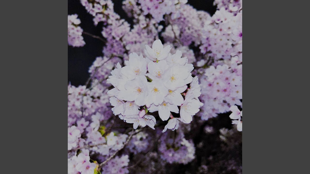 u don't want to be the one for me