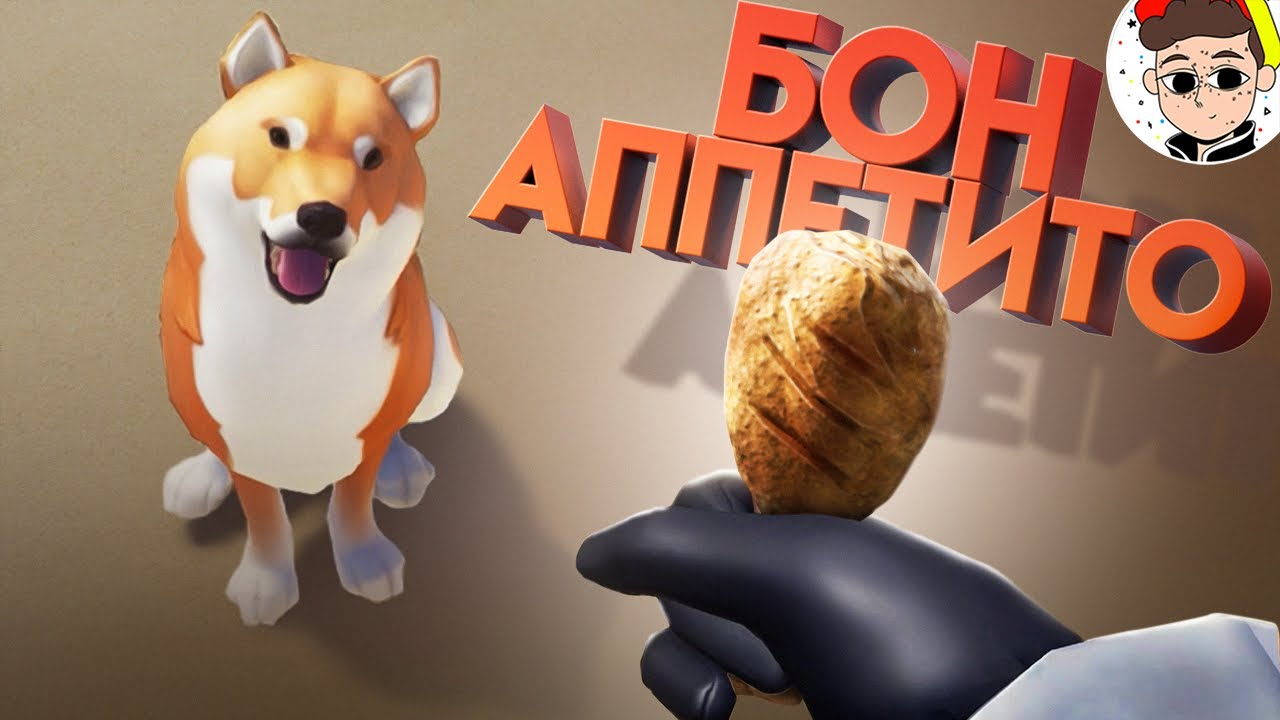 Почему нельзя кормить СОБАКУ ? 😃 ( Sea of Thieves, Counter Strike )