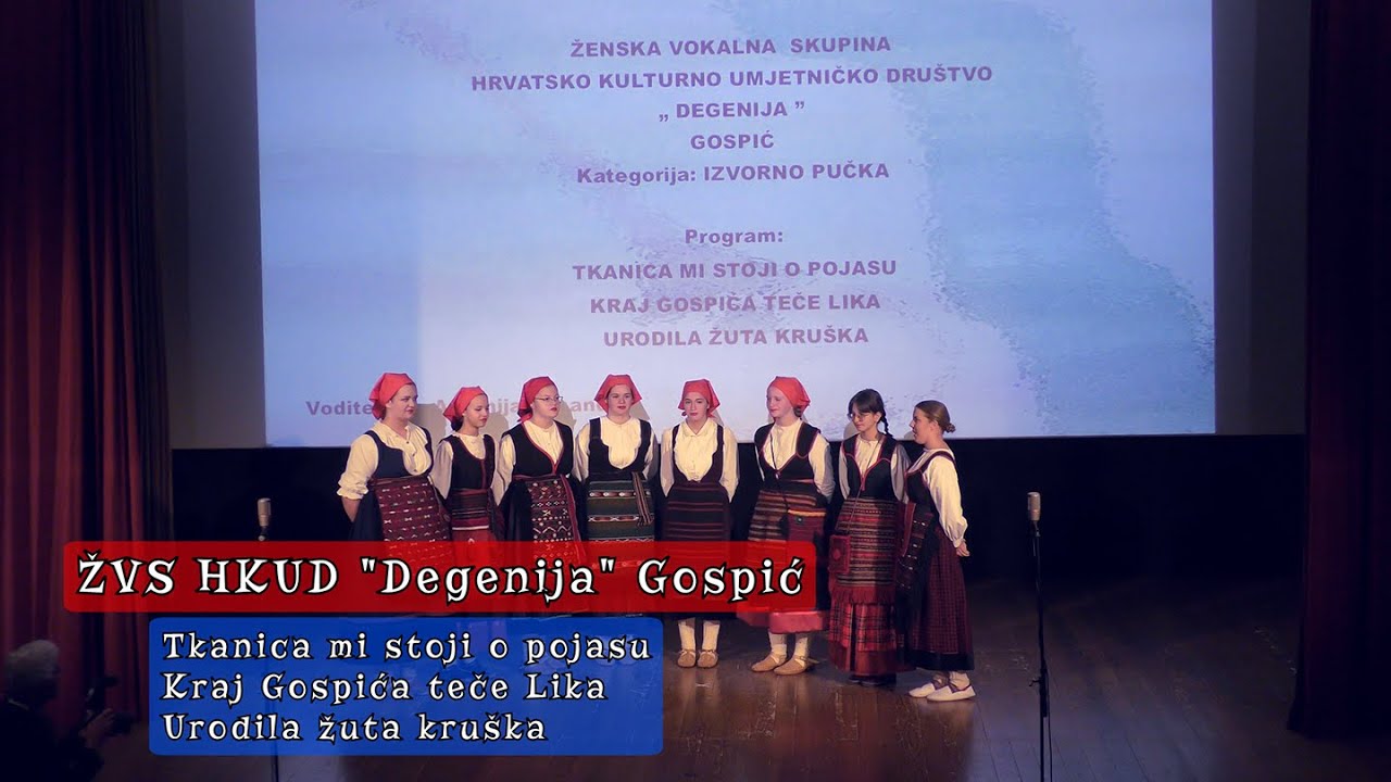 ŽVS HKUD 