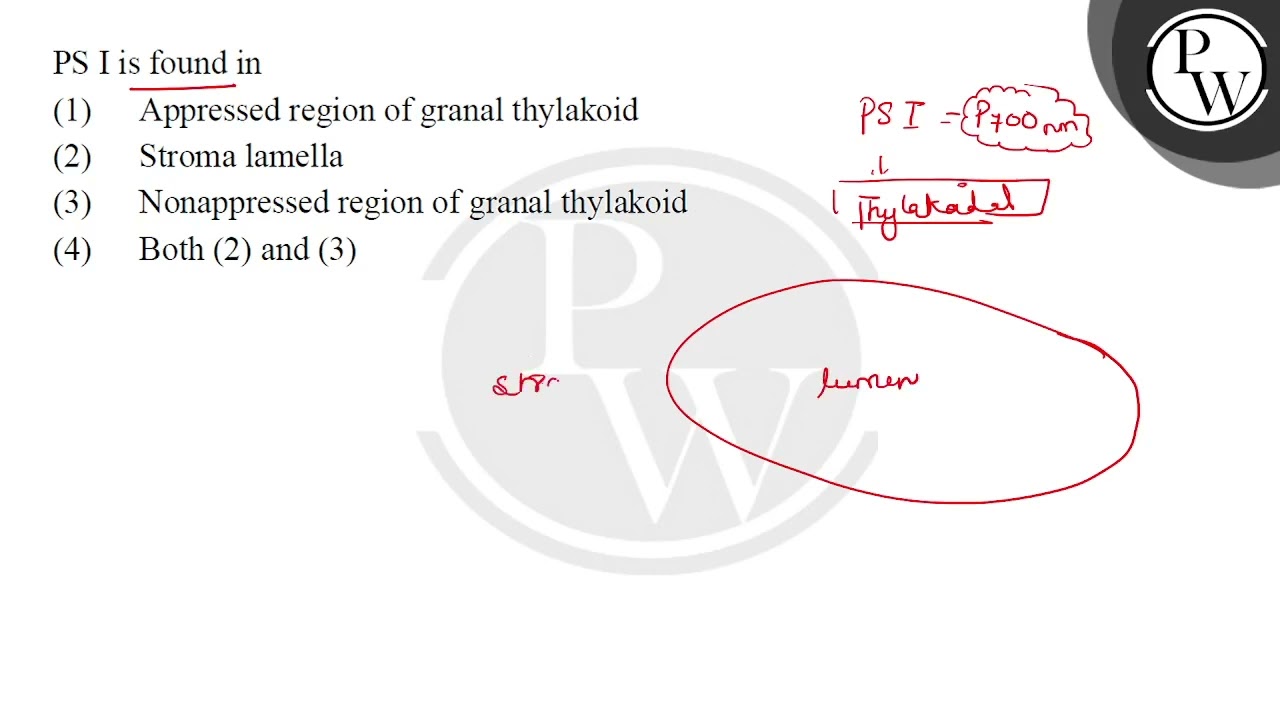 PS I is found in (1) Appressed region of granal thylakoid (2) Strom...