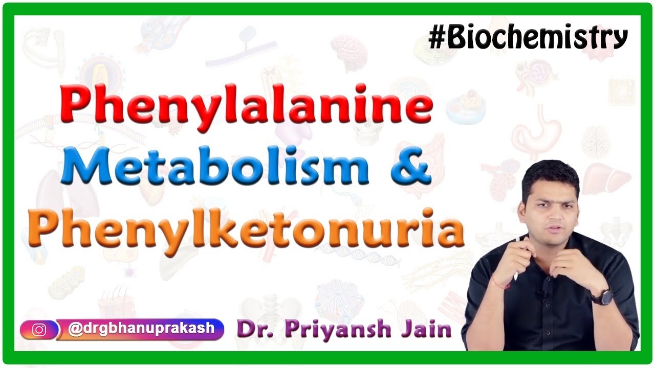 Phenylalanine metabolism and Overview of phenylketonuria : Medical Biochemistry : Dr Priyansh jain