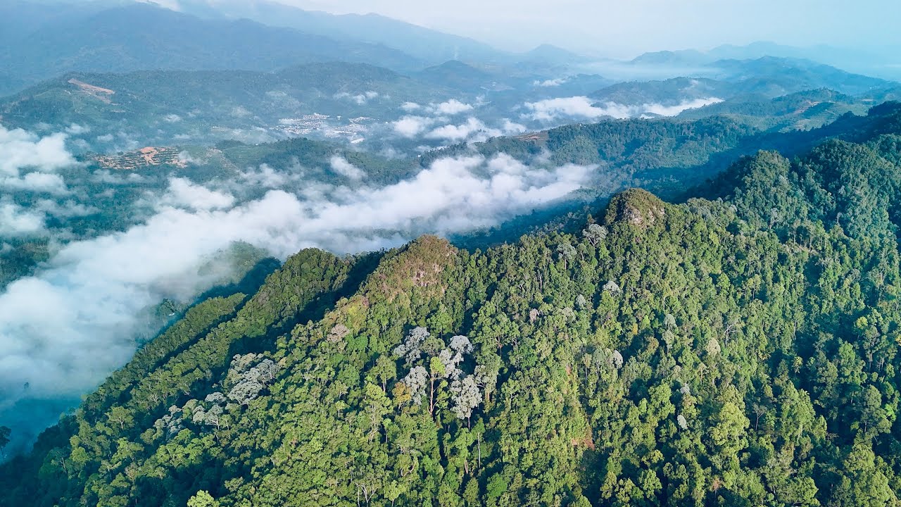 Bukit Sandar, Bentong, Pahang 