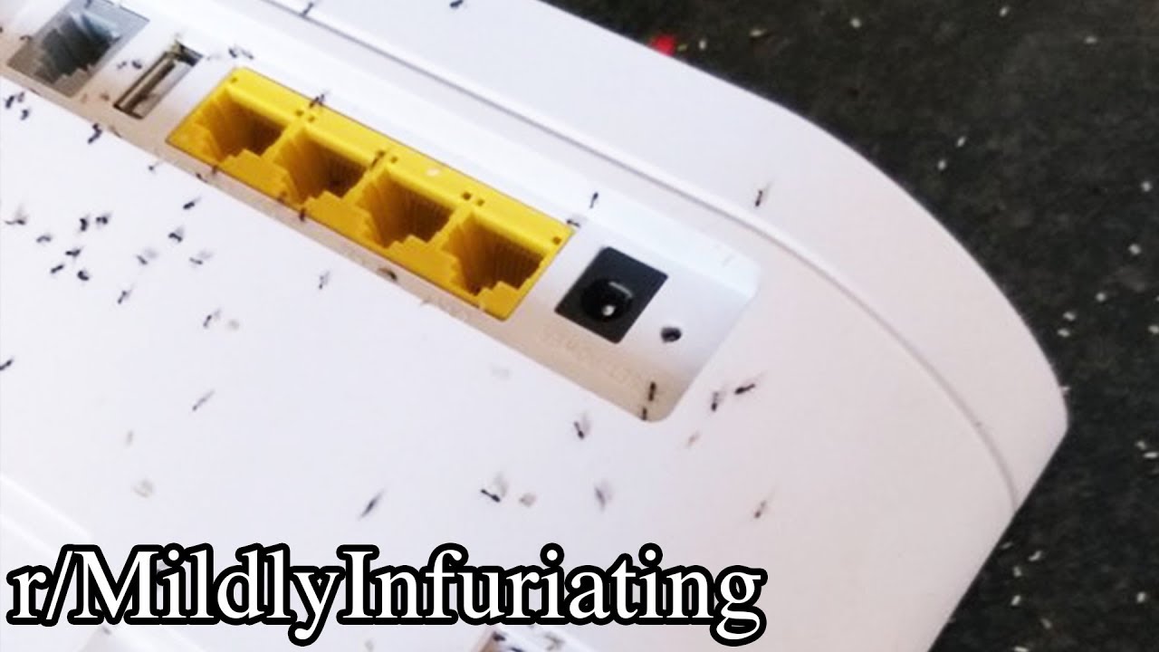 r/MildlyInfuriating | WHY!!!!!?!?!