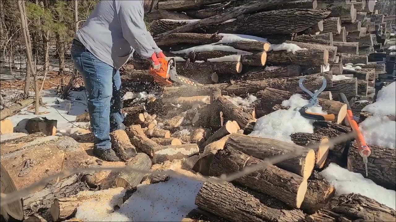 HUSQVARNA 555 BUCKING ASH (Watch to the end for a big announcement)