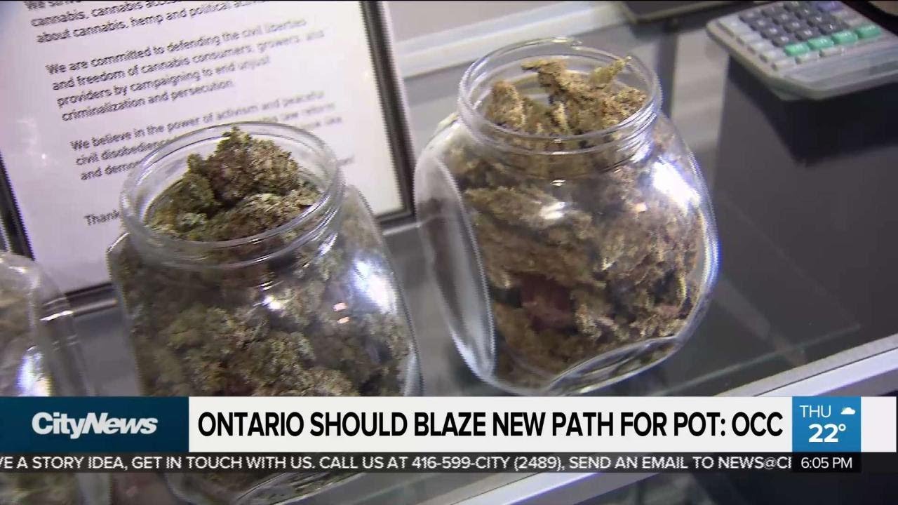 Black market for weed thriving in Ontario: report