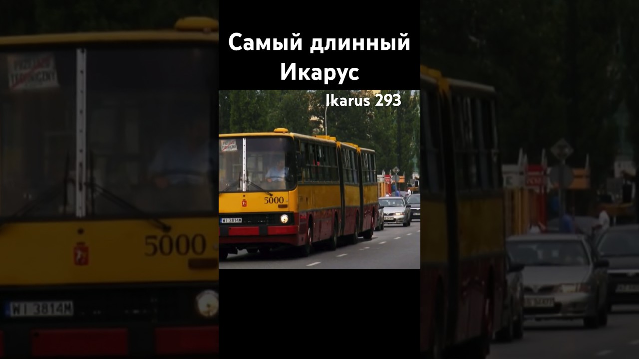 Самый длинный Икарус. Ikarus 293.