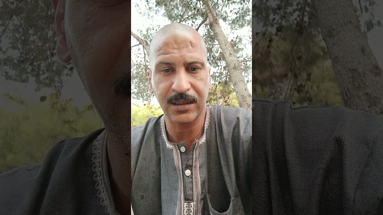 علي الجزائري للببغاء : كيف نهتم بالببغاء في مرحلة تغيير الريش ؟؟