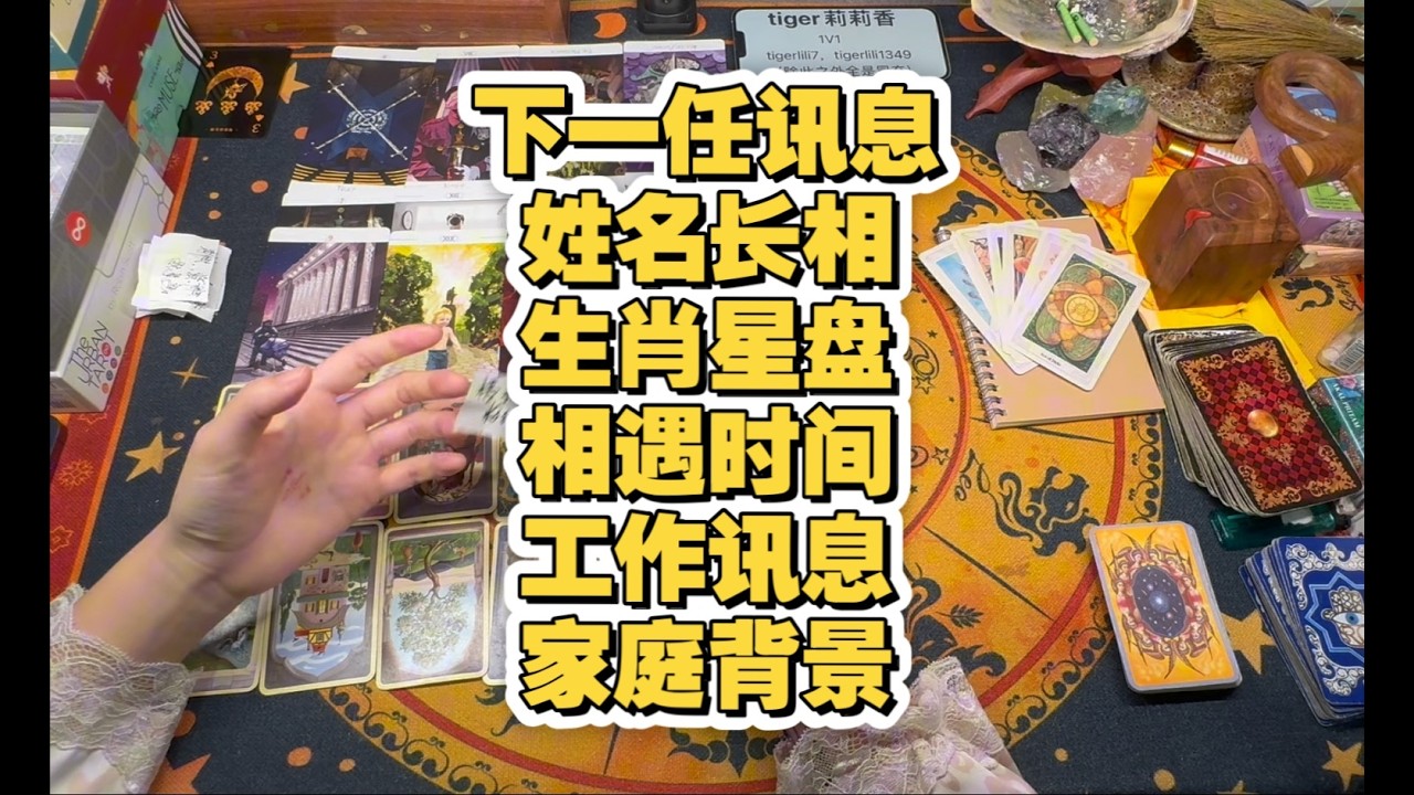 【Tiger莉莉】下一任信息 姓名外貌生肖星座相遇时间职业信息家庭背景 无时限无性别