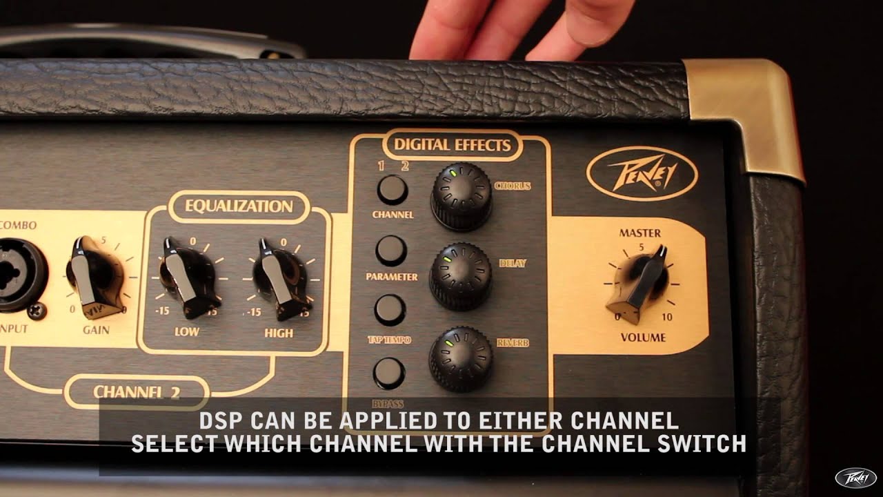 Peavey Ecoustic E110