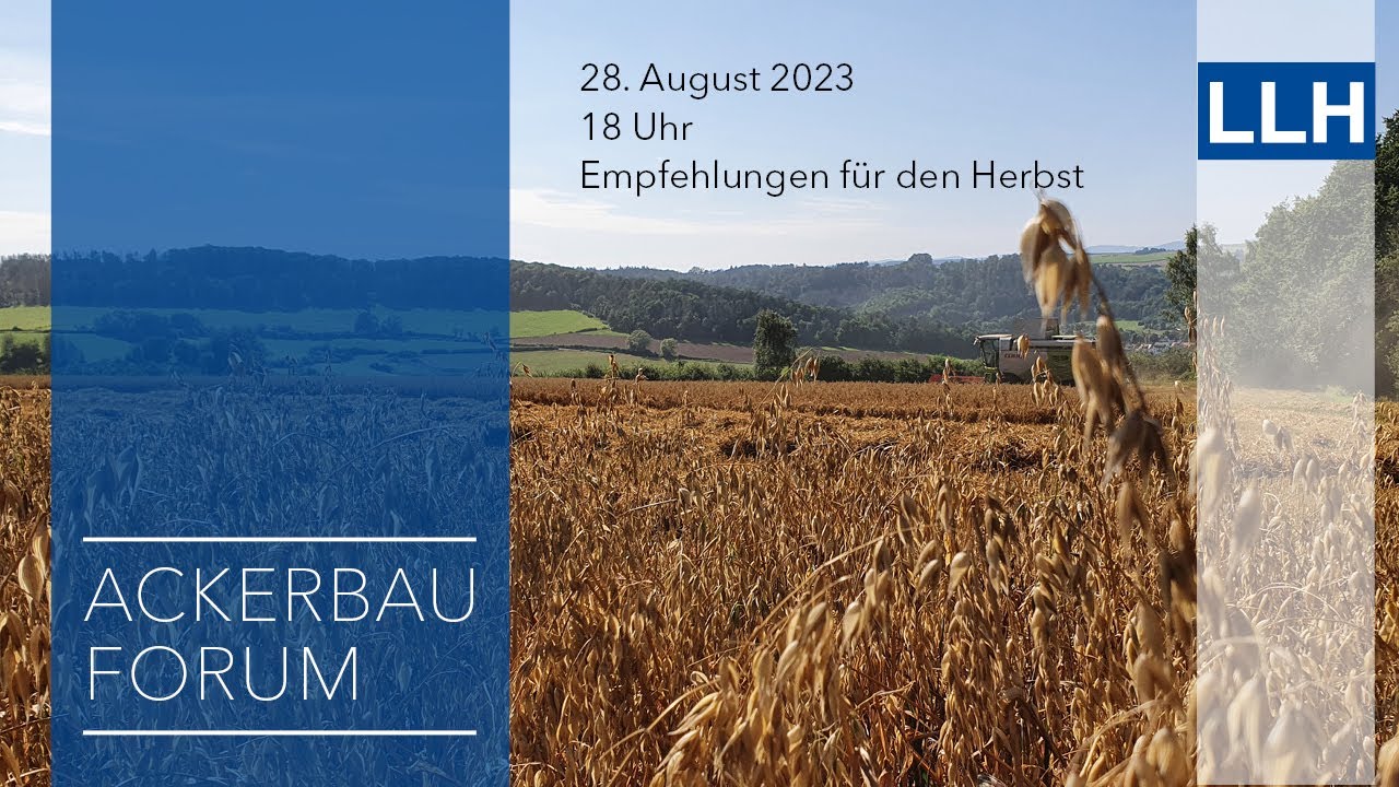 Digitales LLH Ackerbauforum: Empfehlungen für den Herbst