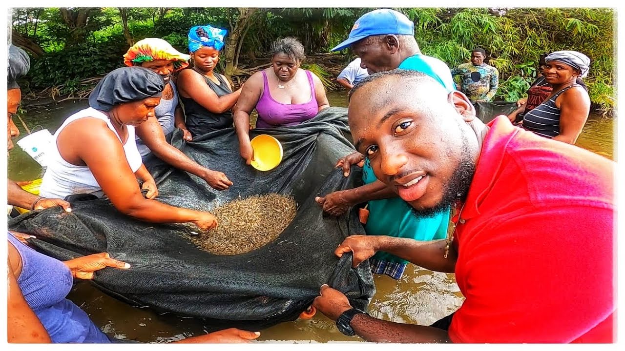 TRI TRI CATCH AND COOK IN ST. VINCENT THE TRADITIONAL WAY